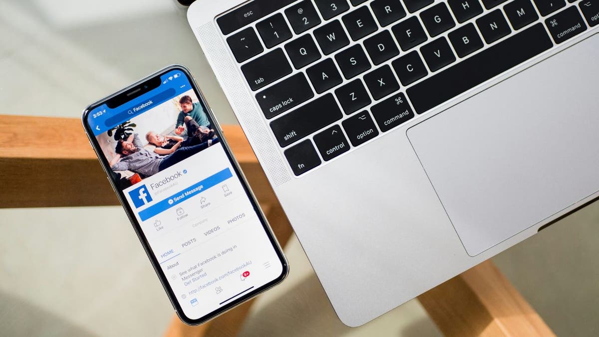 Scam of Musk Facebook 2