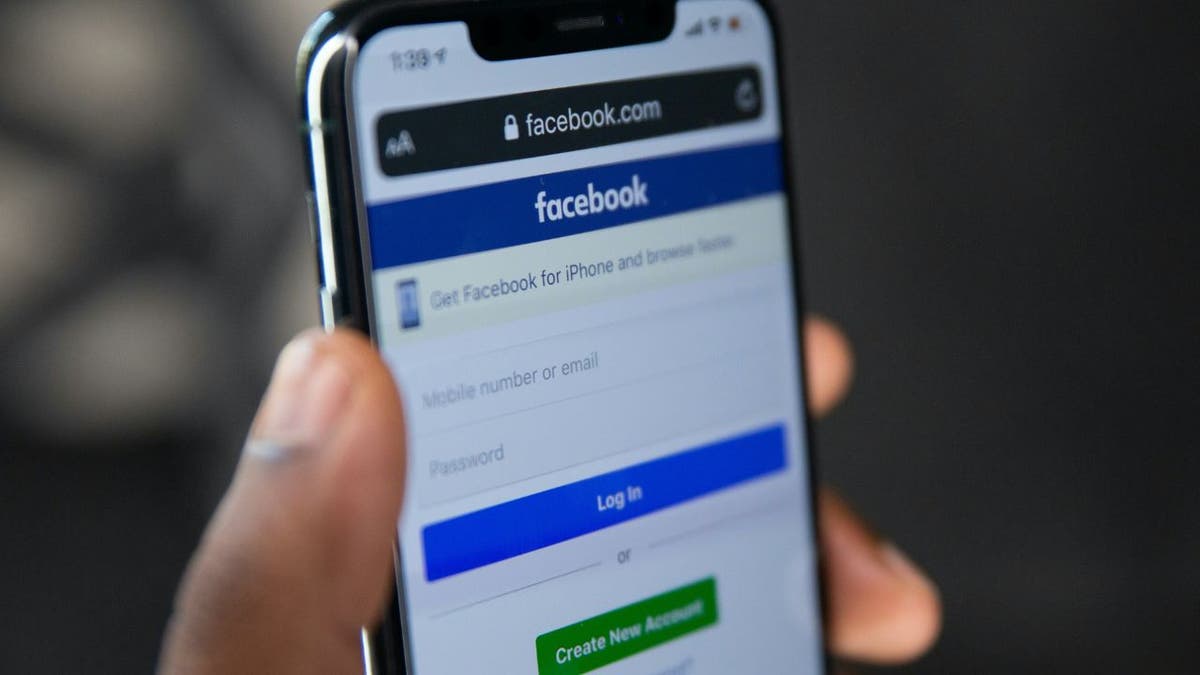 Musk Facebook Scam 3